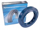 Rotary Shaft Seal AS 40х62х10 NBR-P blue DIN 3760
